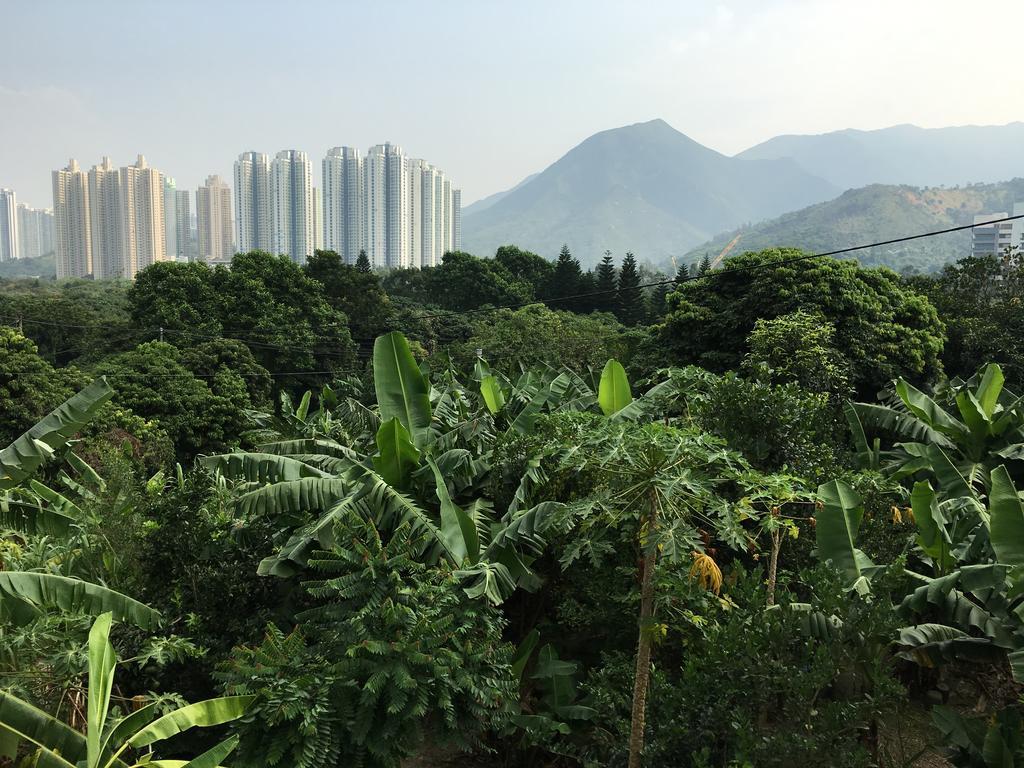 City Oasis Guesthouse Hongkong Exterior foto